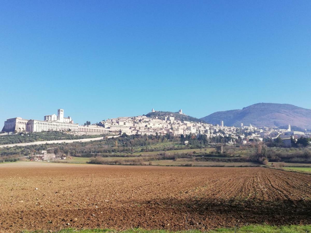 Villa Gina Assisi Dış mekan fotoğraf